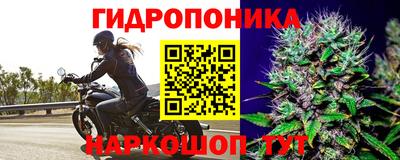 амф Конаково