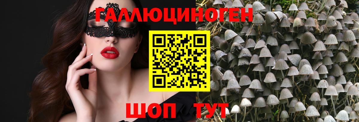 цены наркотик  Вход с VPN  Ковров  Галлюциногенные грибы прущие грибы 