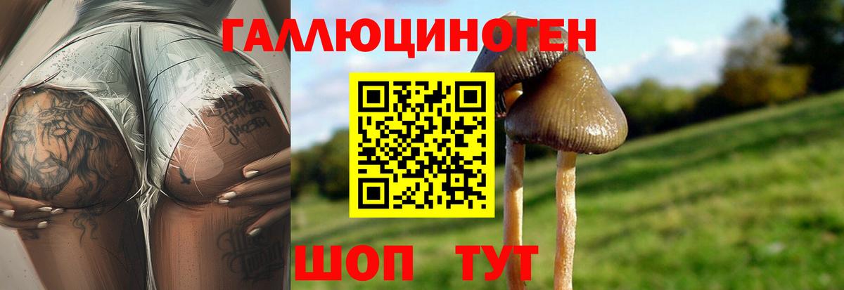 Псилоцибиновые грибы мицелий Ковров